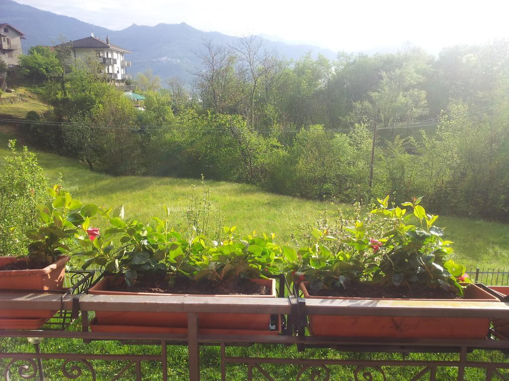 I Tre Ciliegi * Sant'Omobono Imagna